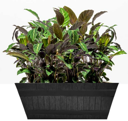 Fixtures Barrel Design Grey Trough L50cm x W25.5cm x H19.5cm