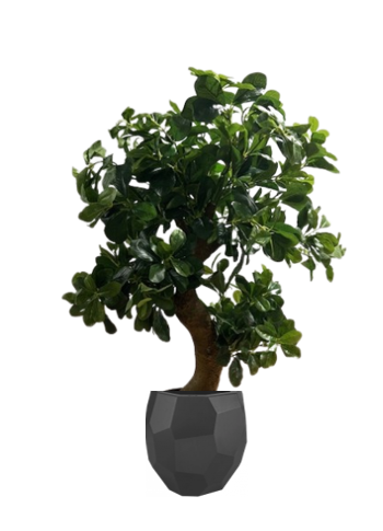Fixtures Artificial Green Polyscias Tree 80cm