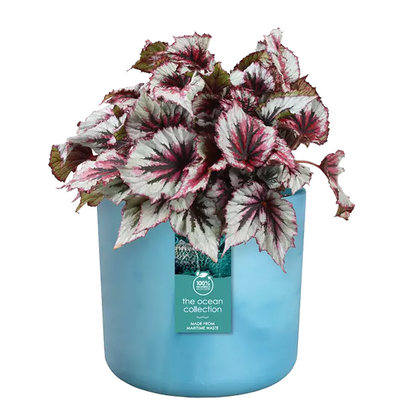 Elho Atlantic Blue Round Planter 22cm - UK BUSINESS SUPPLIES