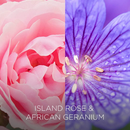 Airwick Botanica Island Rose & African Geranium Candle 205g
