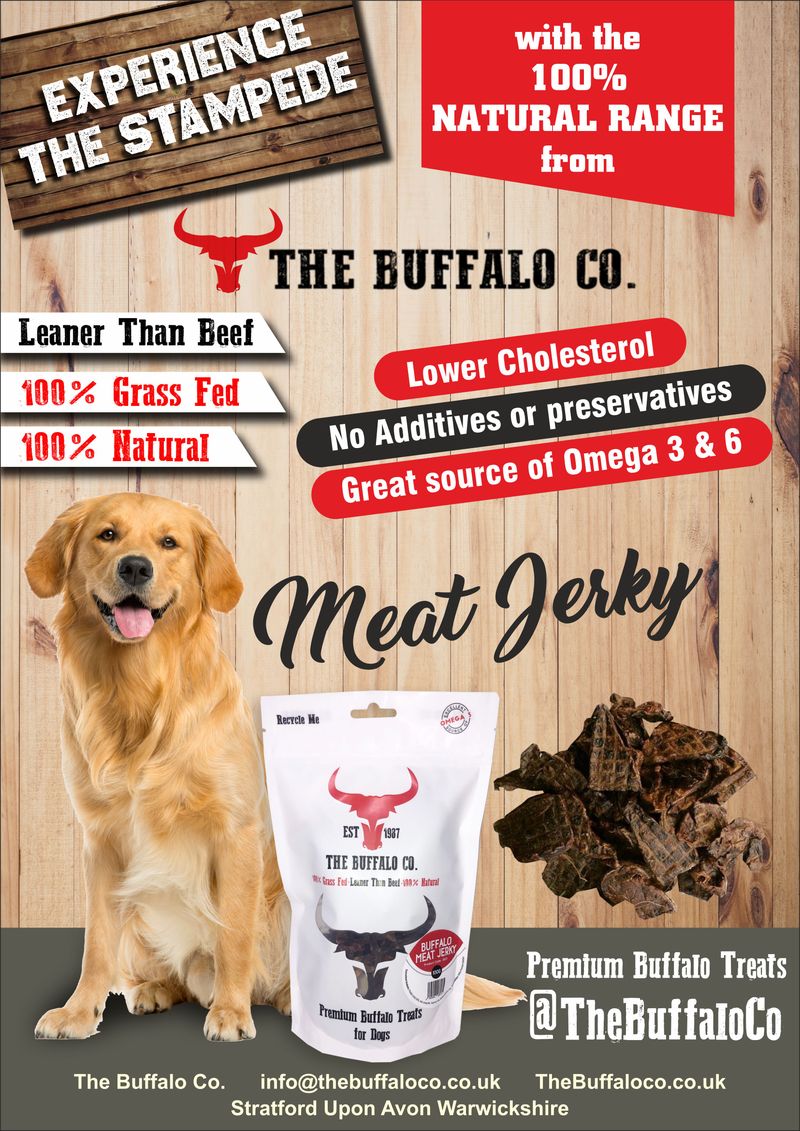 The Buffalo Co. Buffalo Meat Jerky for Dogs | 100% Natural Grass-Fed Dog Treats | 1 x 100g