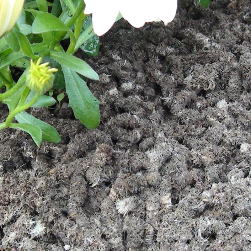 Doff Slugs Be Gone Wool Pellets | 1 Litre Slug & Snail Deterrant