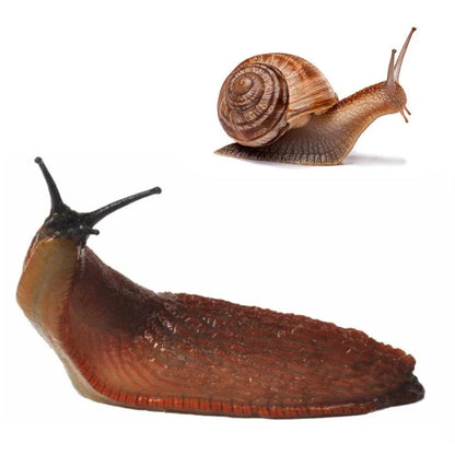 Doff Slugs Be Gone Wool Pellets | 1 Litre Slug & Snail Deterrant