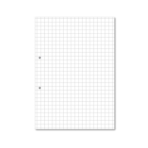 Hamelin Loose Leaf Paper 10mm Squared 1000 Page Punched 2 Hole A4 (Pack of 5) 100104180