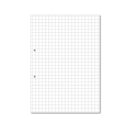 Hamelin Loose Leaf Paper 10mm Squared 1000 Page Punched 2 Hole A4 (Pack of 5) 100104180