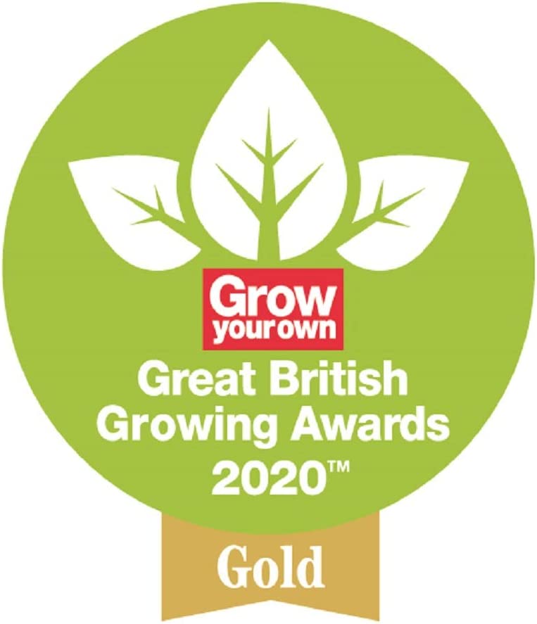 Spear & Jackson Kew Gardens Collection Leather Palm Gloves, Green. S/M/L - ONE CLICK SUPPLIES