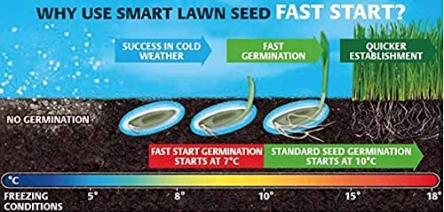 Westland Gro-Sure Smart Lawn Seed Fast Start 40m2 - ONE CLICK SUPPLIES