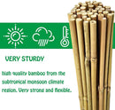 Bamboo Garden Cane by Fixtures 90cm Pack 10-50 pack - ONE CLICK SUPPLIES