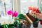 Vitax Liquid Orchid Bloom Feed Vitax Plant Food Fertiliser For Beautiful Flowers 500ml