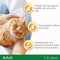 IAMS for Vitality dry cat food with chicken - dry food for cats aged 1-6 years, 800g - ONE CLICK SUPPLIES