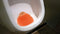 P-Wave Slant6 Urinal Screen Mango - ONE CLICK SUPPLIES