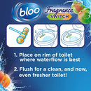 Bloo Fragrance Switch Toilet Rim Block, Apple & Peach - ONE CLICK SUPPLIES