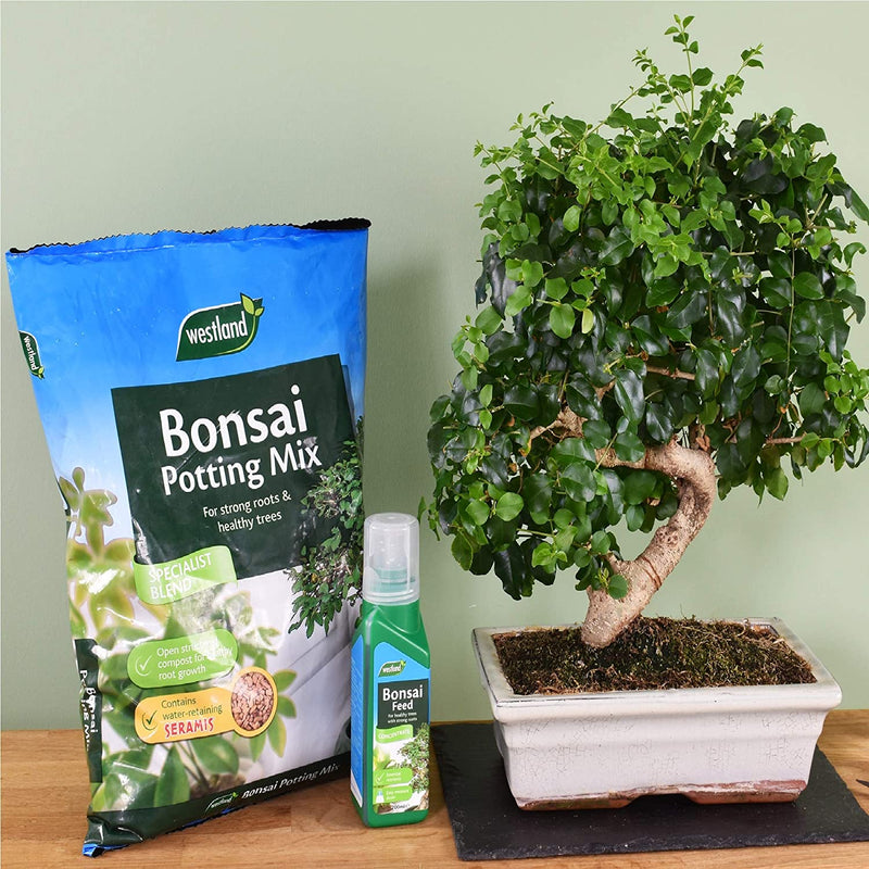 Westland Bonsai Potting Compost Mix and Enriched with Seramis 4 Litre - ONE CLICK SUPPLIES