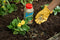 Westland Gro-Sure Slow Release 6 Month Plant food 1.1kg - ONE CLICK SUPPLIES