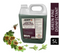 Janit-X Professional Green Pine Disinfectant 5 Litre - ONE CLICK SUPPLIES
