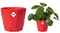 Elho b.For Rock Contemporary Plant Pots 18cm BRILLIANT RED - ONE CLICK SUPPLIES