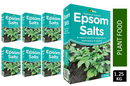 Vitax Epsom Salts Liquid Fertiliser 1.25kg - ONE CLICK SUPPLIES