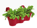 Elho Corsica Easy Hanger Trio Cranberry Red Planter {100% Recyclable} - ONE CLICK SUPPLIES