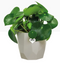 Elho b.For Rock Contemporary Plant Pots 18cm WARM GREY - ONE CLICK SUPPLIES