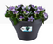 Elho Corsica Drainpipe Clicker Flower Pot 24cm ANTHRACITE - ONE CLICK SUPPLIES