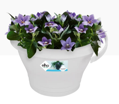 Elho Corsica Drainpipe Clicker Flower Pot 24cm WHITE - ONE CLICK SUPPLIES