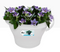 Elho Corsica Drainpipe Clicker Flower Pot 24cm WHITE - ONE CLICK SUPPLIES