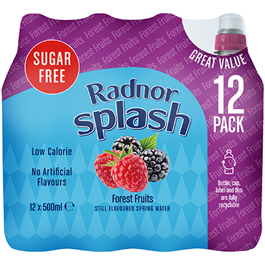 Radnor Splash Sugar Free Forest Fruits 12x500ml - ONE CLICK SUPPLIES