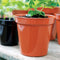 Stewart Garden 30.5cm (12inch) Flower Pots Terracotta - ONE CLICK SUPPLIES