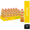 Lipton Ice Tea Peach 500ml (Pack of 24)