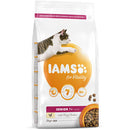 IAMS for Vitality Senior Dry Cat Food Fresh Chicken 2kg - ONE CLICK SUPPLIES