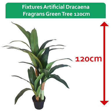 Fixtures Artificial Dracaena Fragrans Green Tree Large 120cm - ONE CLICK SUPPLIES
