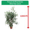 Fixtures Artificial Green Olive Tree 100cm - ONE CLICK SUPPLIES