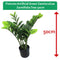 Fixtures Artificial Green Zamioculcas Zamiifolia Tree 50cm - ONE CLICK SUPPLIES