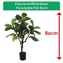 Fixtures Artificial Green Ficus Iyrata Tree 80cm - ONE CLICK SUPPLIES