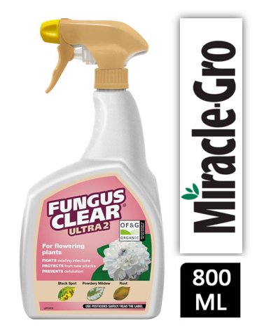 EverGreen NEW FungusClear Ultra2 Spray – 800ml - ONE CLICK SUPPLIES
