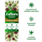 Zoflora Disinfectant Fir Needle & Amber 500ml - ONE CLICK SUPPLIES