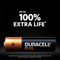 Duracell AA Plus 100% Battery Pack 16's