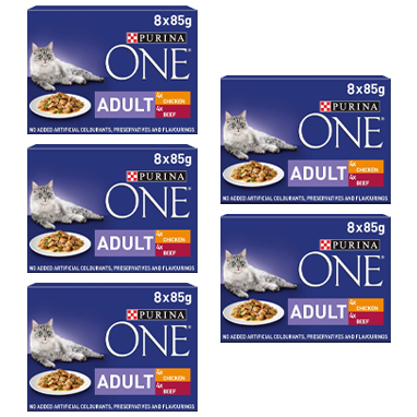 Purina ONE Adult Wet Cat Food Pouches Chicken and Beef 8 x 85g - ONE CLICK SUPPLIES