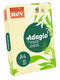 Rey Adagio Paper A4 80gsm Canary (Ream 500) RYADA080X423 - ONE CLICK SUPPLIES