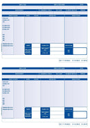 Iris Compatible A4 2 Per Sheet Payslip (Pack 1000) FY95 - ONE CLICK SUPPLIES
