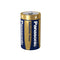 Panasonic Bronze Power D Alkaline Batteries (Pack 2) - PANALR20B2-APB - ONE CLICK SUPPLIES