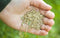Nature Safe Patch Fix Lawn Seed 1kg 100% Plant-Based Organic Fertiliser