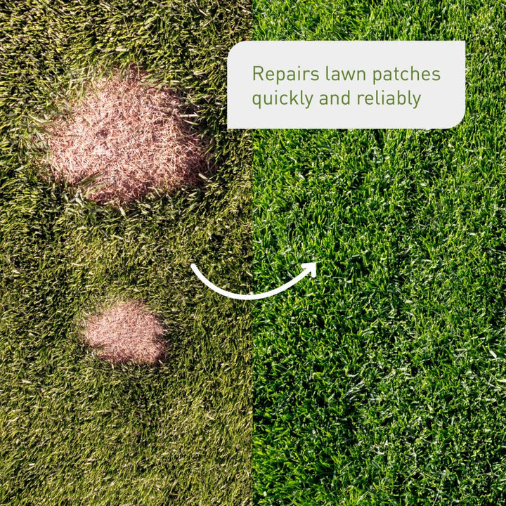 Nature Safe Patch Fix Lawn Seed 1kg 100% Plant-Based Organic Fertiliser