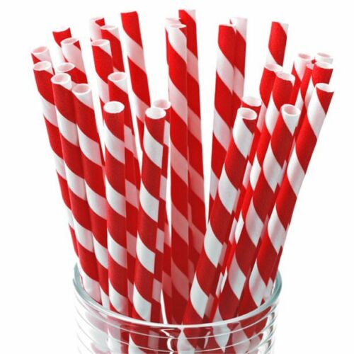 Belgravia Biodegradable Red & White Paper Stripey Straws Pack 500's - ONE CLICK SUPPLIES