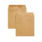 Plain Wage Envelopes 108x102mm 1000's - ONE CLICK SUPPLIES
